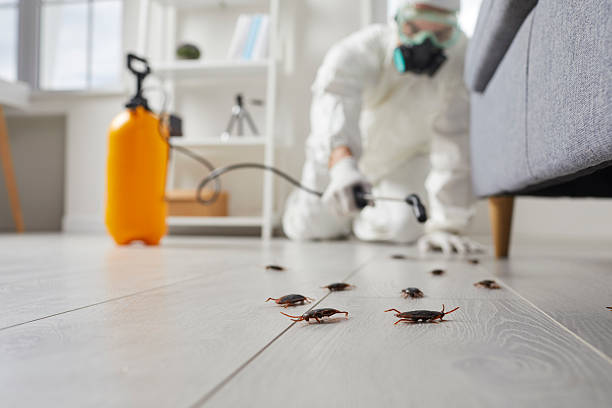 Trusted Termite Control service in White Bear Lake, MN - Nex Pest Control